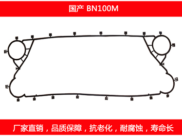 BN100M 国产可拆式板式菠萝视频在线密封垫片
