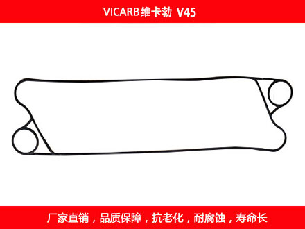 V45 国产板式菠萝视频在线密封垫片