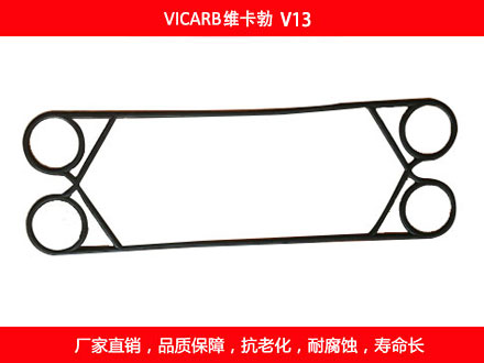 V20 国产板式菠萝视频在线密封垫片
