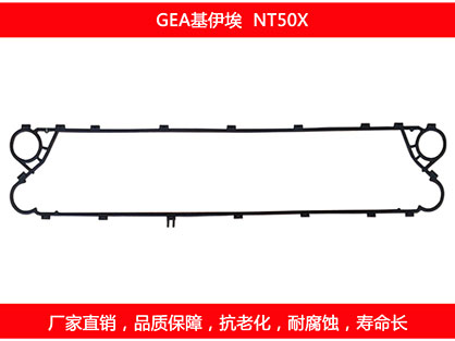 NT50X 国产板式菠萝视频在线密封垫片