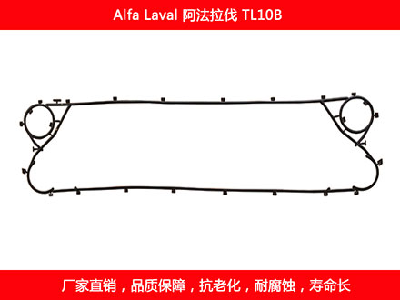 TL10B 国产板式菠萝视频在线密封垫片