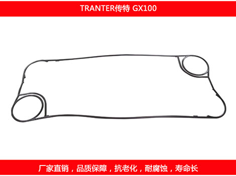 GX100 国产板式菠萝视频在线密封垫片