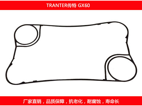 GX60 国产板式菠萝视频在线密封垫片