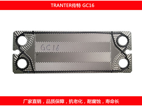 GC16 国产板式菠萝视频在线密封垫片