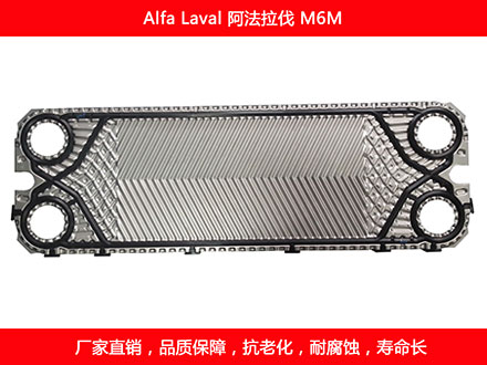 M6M 国产板式菠萝视频在线密封垫片