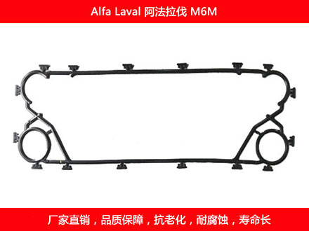 M6M 国产板式菠萝视频在线密封垫片