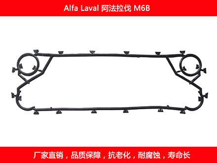 M6B 国产板式菠萝视频在线密封垫片
